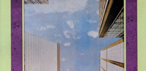 Türkiye ve Gelişmekte Olan Ülkelerde Ekonomik İstikrar Uygulamaları